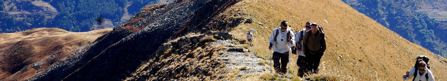 Promotion emia 56_11